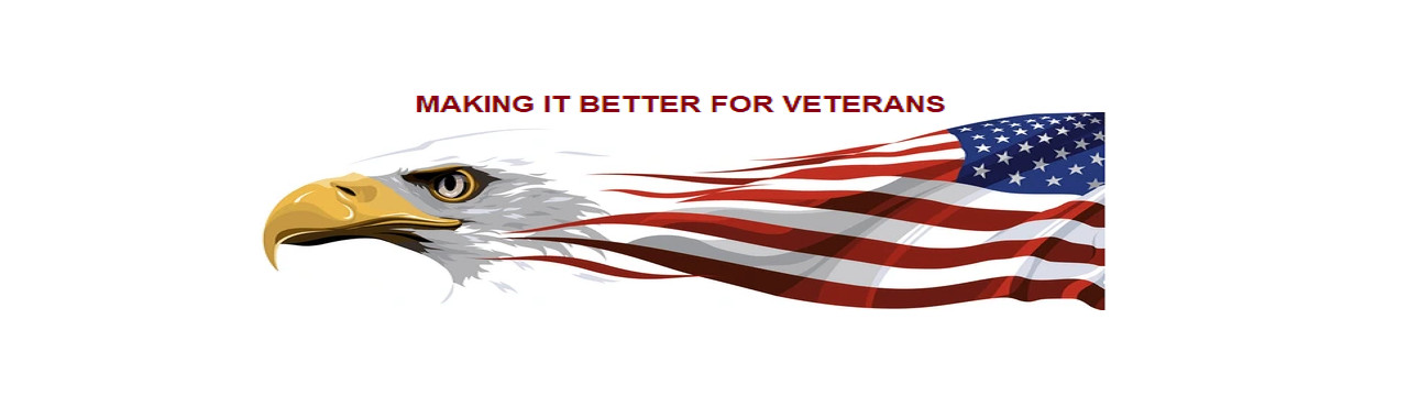 Veterans Serving Veterans Cover Image