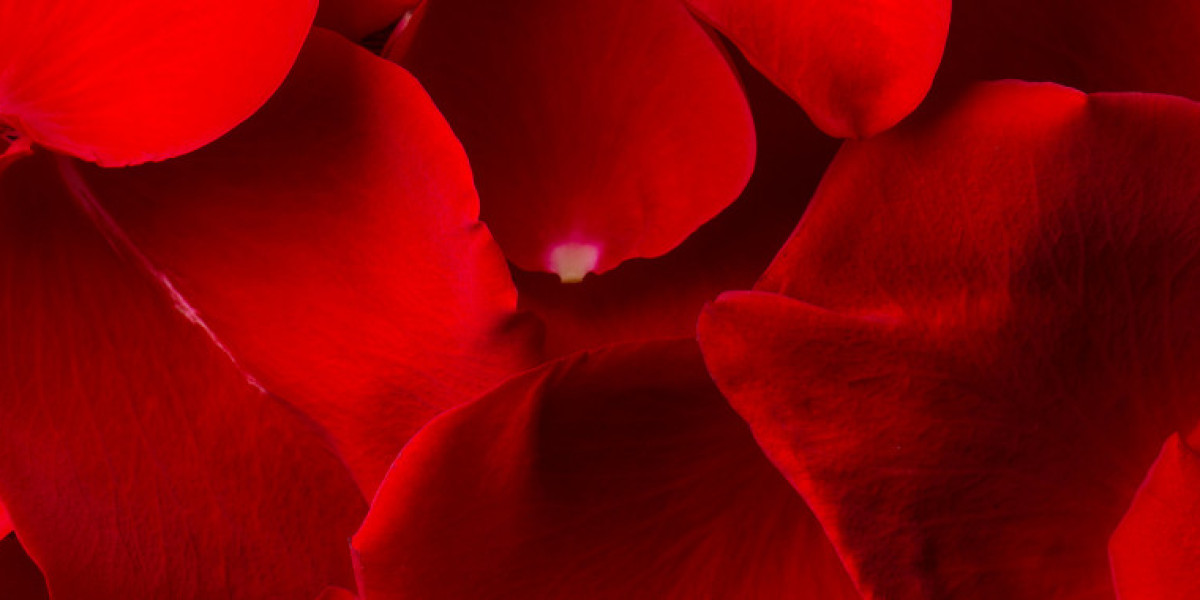 Coaching with Love: The Importance of Self-Love in Helping Others