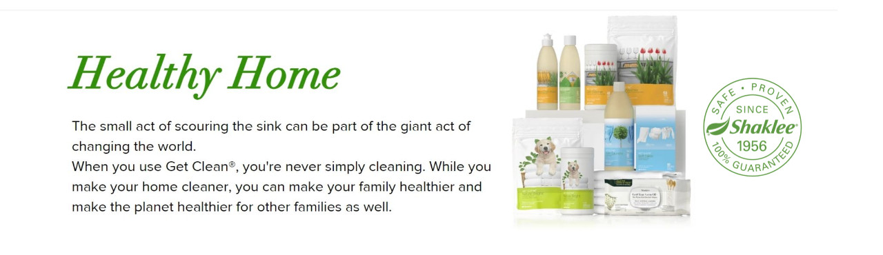 Organic Green Cleaning - Back to the Basics Cover Image