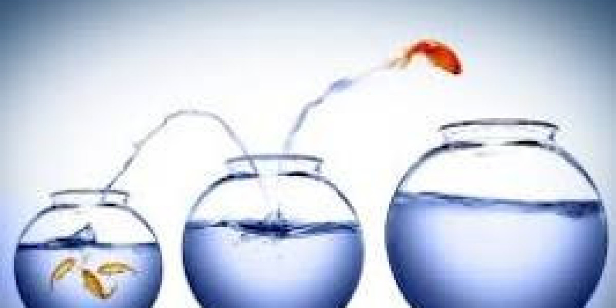 What is Ambition?