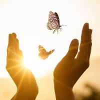 Sacred Light Community Profile Picture