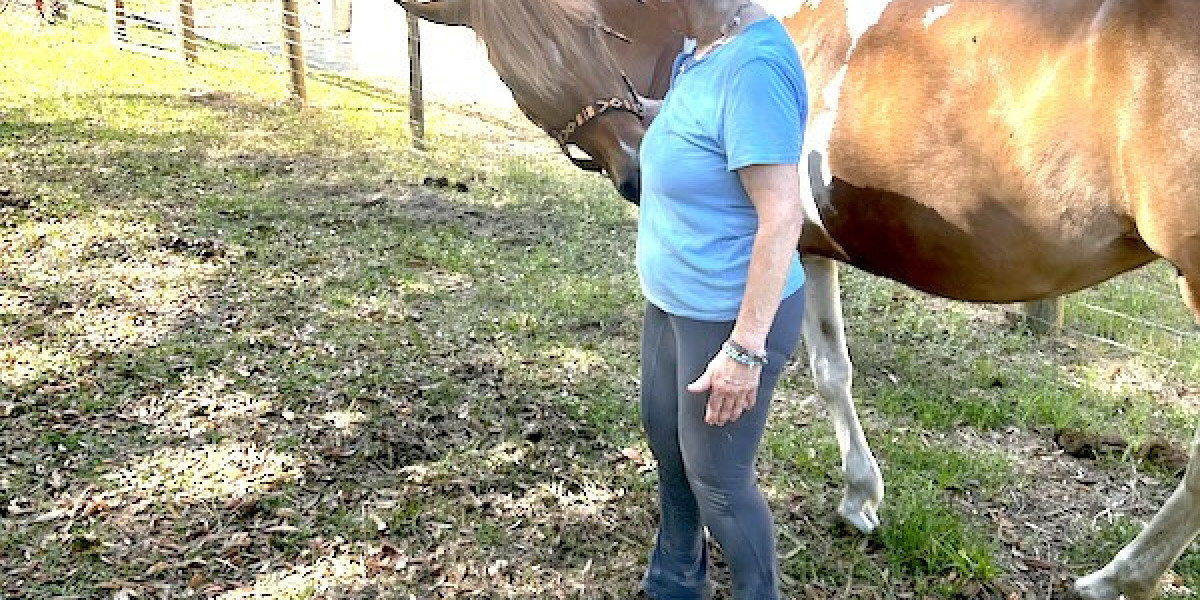 Healing Mia: A Reiki Journey to Relieve Colic in a Beloved Paint Horse