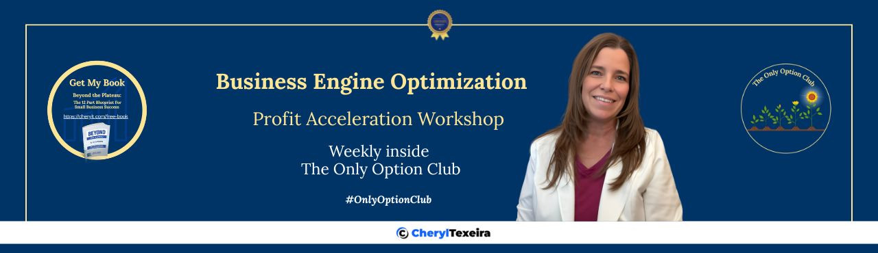 Business Engine Optimization: Weekly Profit Acceleration Workshop