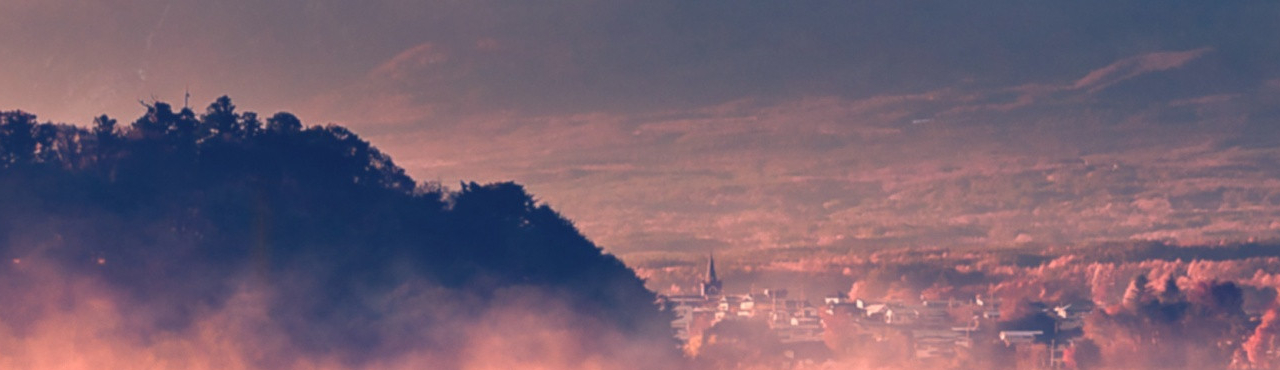 Frances G. Cover Image