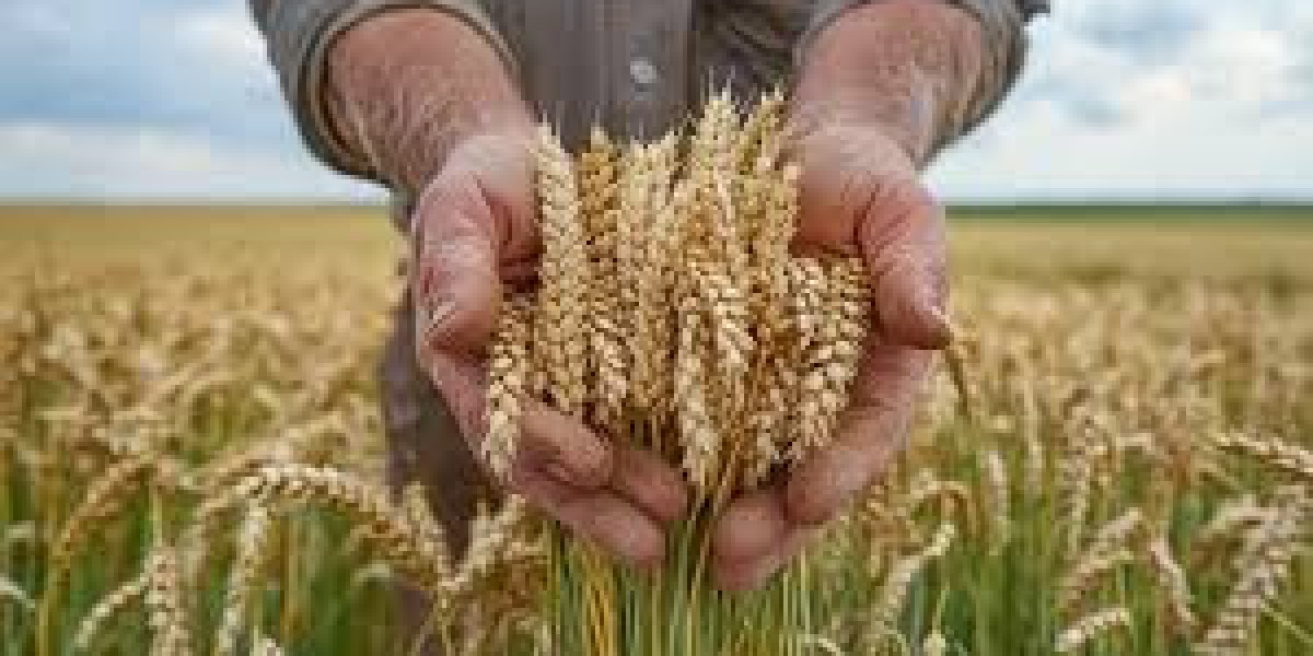 Reaping the Harvest