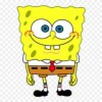 Bob N. Profile Picture