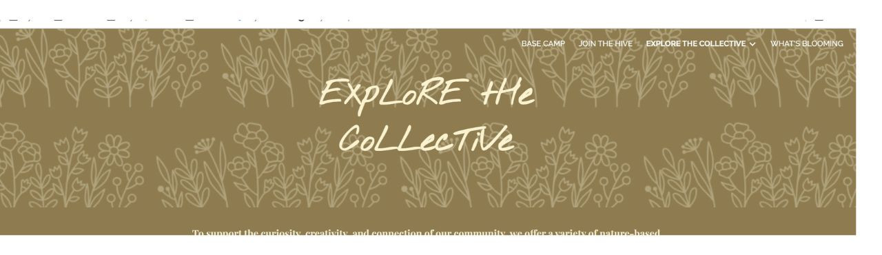 WIld Explorers Nature Co Cover Image