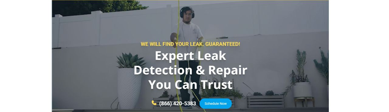 Level Up Leak Detection Cover Image