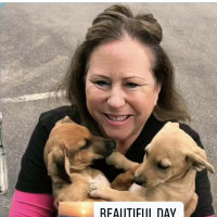 Julie G. Profile Picture