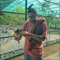 Usama R. Profile Picture
