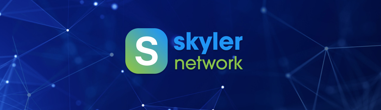 Skyler Network Cover Image