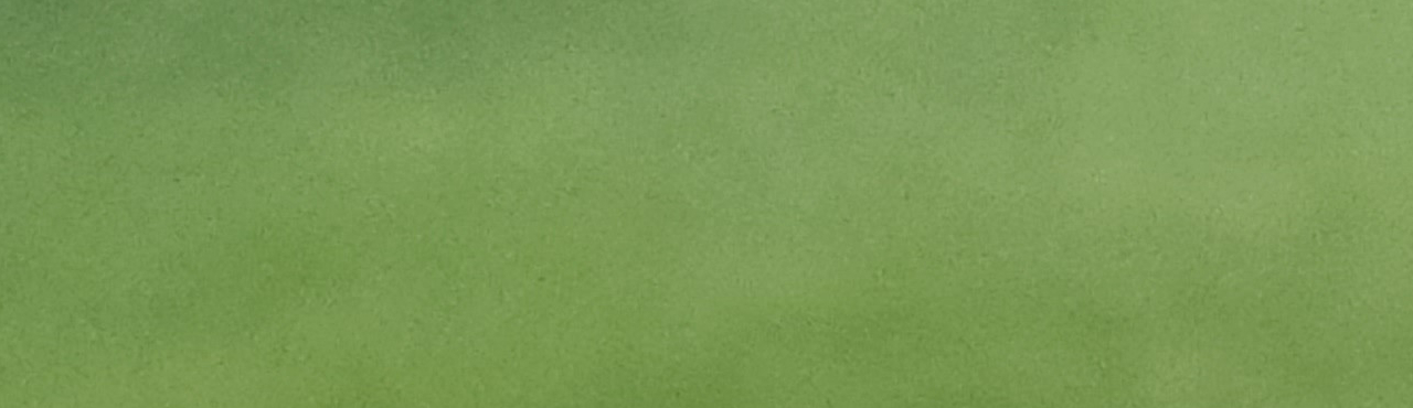 Heather L. Cover Image