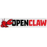 OpenClaw Profile Picture
