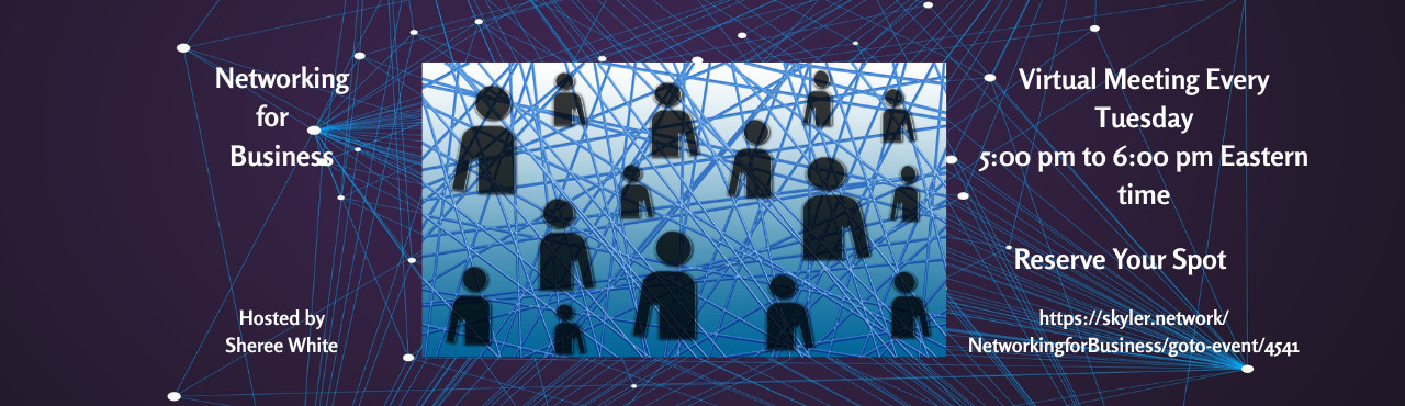 Networking for Business Weekly Virtual Get-Together
