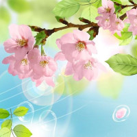 Linda T. Profile Picture