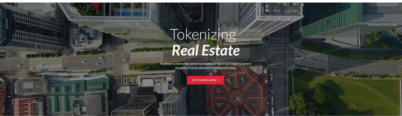 RedSwan Digital Real Estate Cover Image