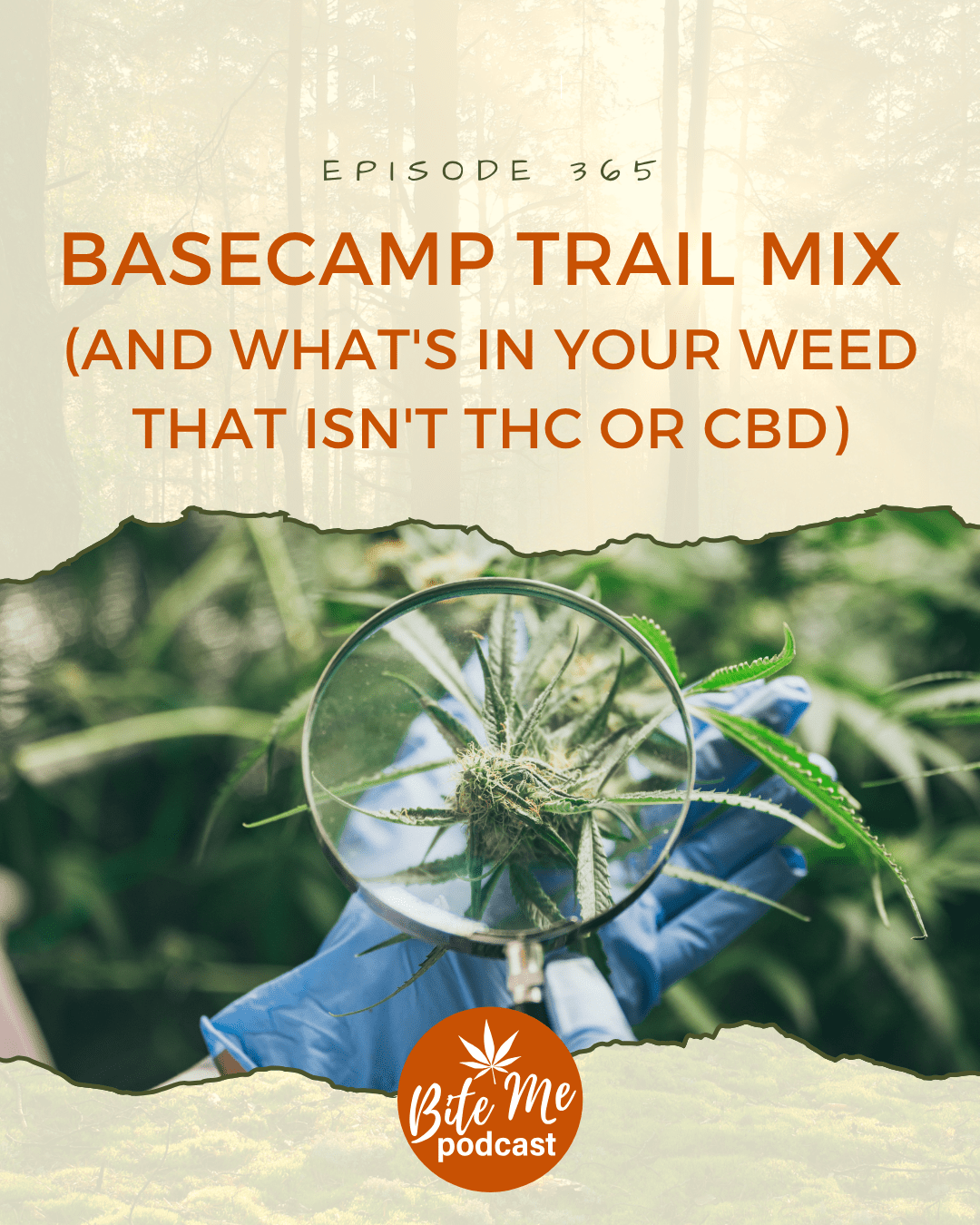 Basecamp Trail Mix (And What's In Your Weed That Isn't THC or CBD) • Bite Me The Show About Edibles
