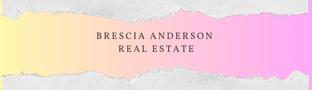 Blog Banner