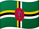 DM flag