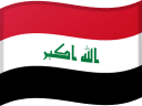IQ flag