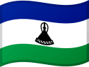 LS flag