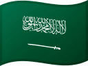 SA flag