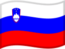 SI flag