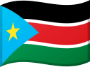 SS flag