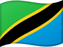 TZ flag