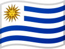 UY flag
