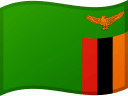 ZM flag